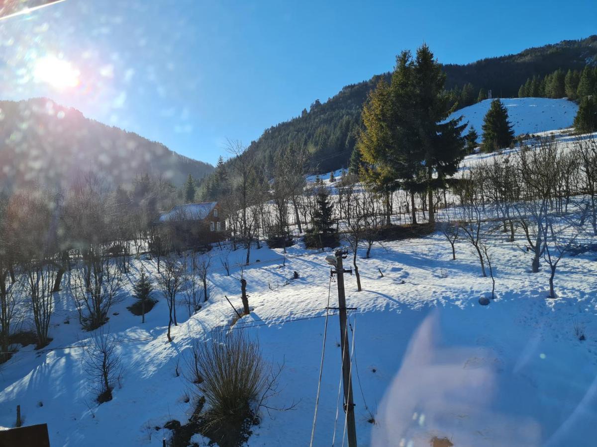 Penzion Mala Fatra U Durka 日利纳 外观 照片